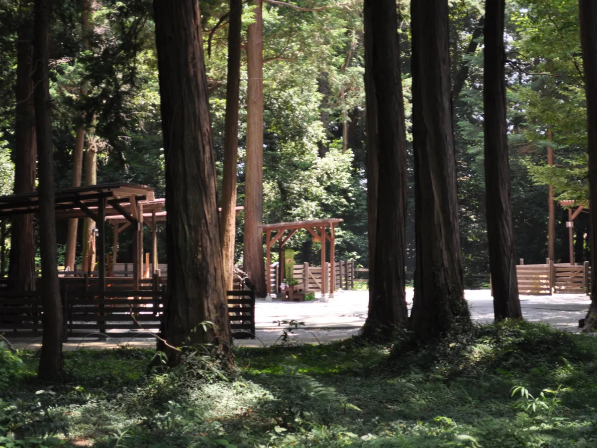 森エリア使用料(無料)