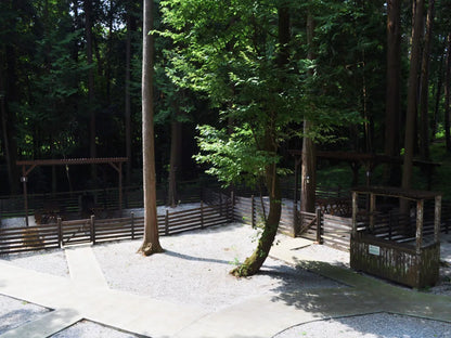 森エリア使用料(無料)