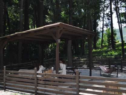 森エリア使用料(無料)