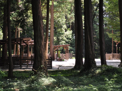 森エリア使用料(無料)