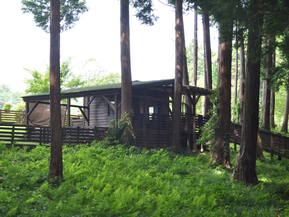 オールエリア使用料(平日料金)