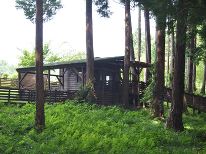 オールエリア使用料(平日料金)